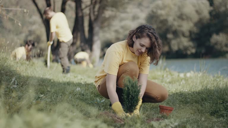 Best Soil Testing and Treatment  in Champaign, IL